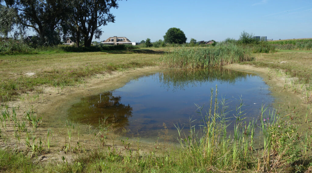 Wonen in Veenendaal